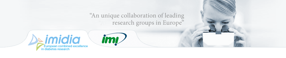 imidia head logo
